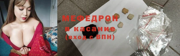 индика Абаза