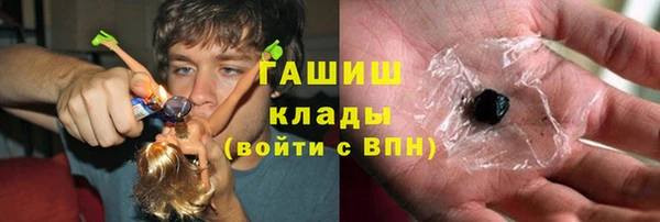 индика Абаза