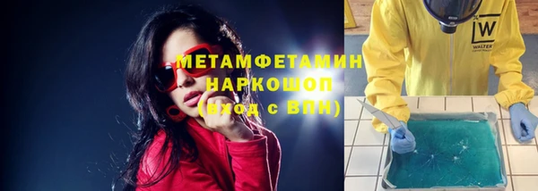индика Абаза