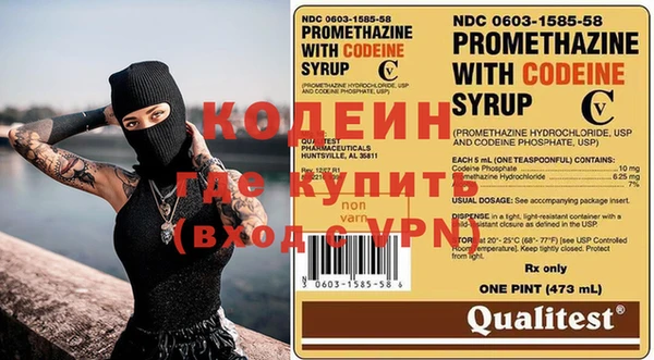 индика Абаза