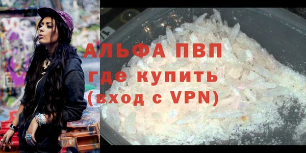 индика Абаза