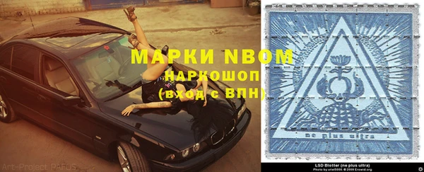 индика Абаза