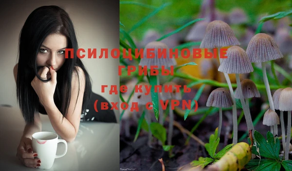 кокс Абдулино