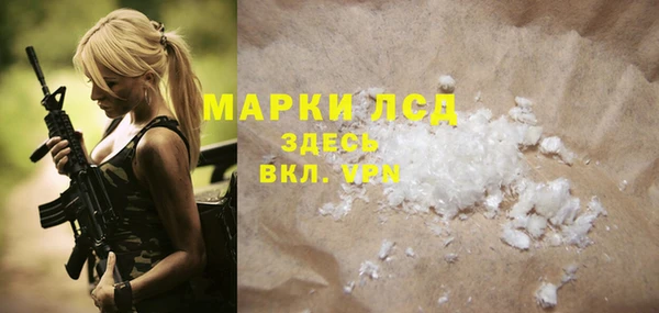 индика Абаза